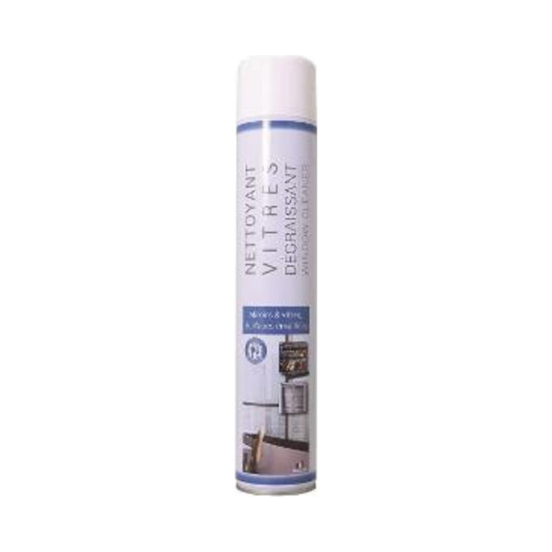 REGEMA Glasreiniger Schaum 750 ml