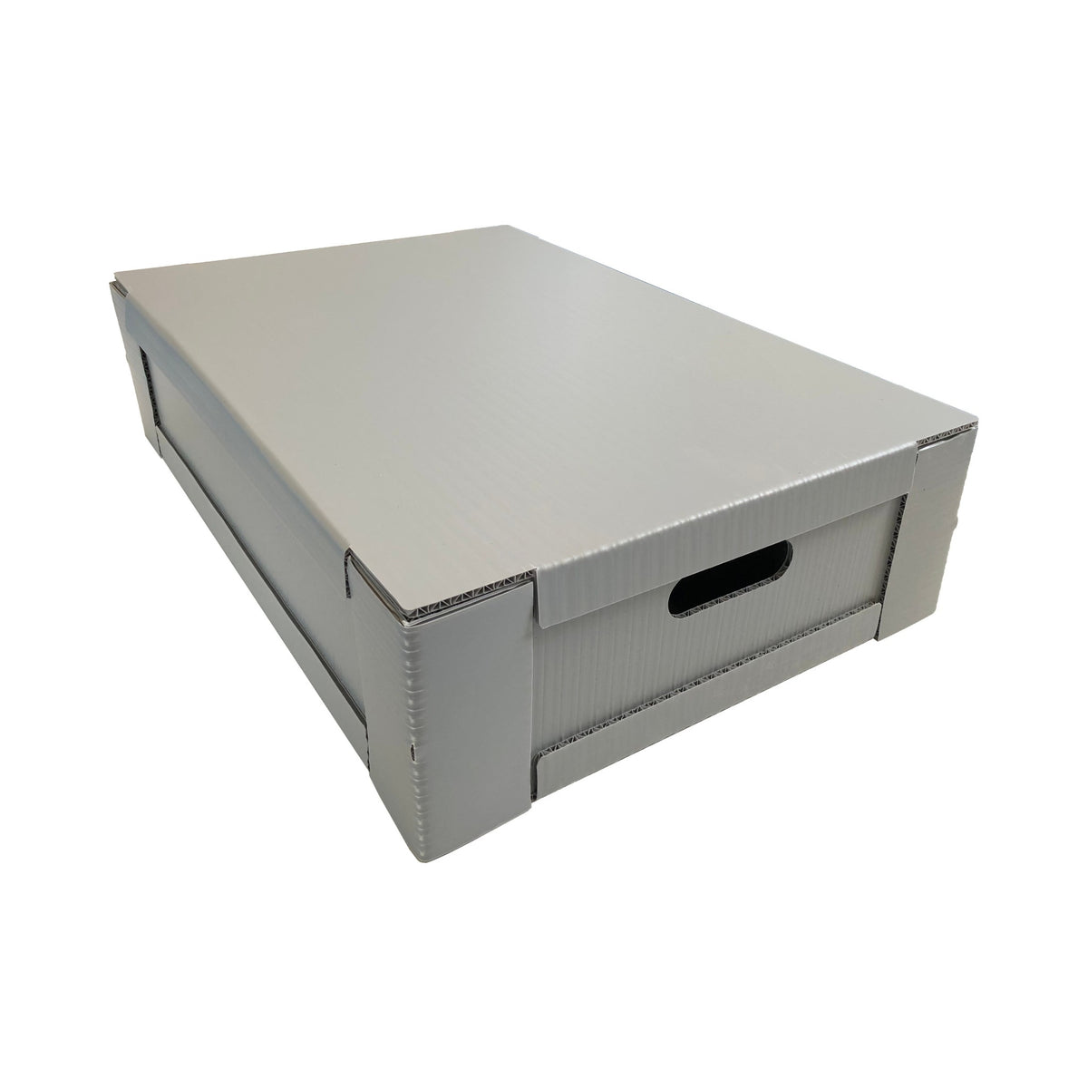 QLEEN Transportbox für ROTAQLEEN Classic